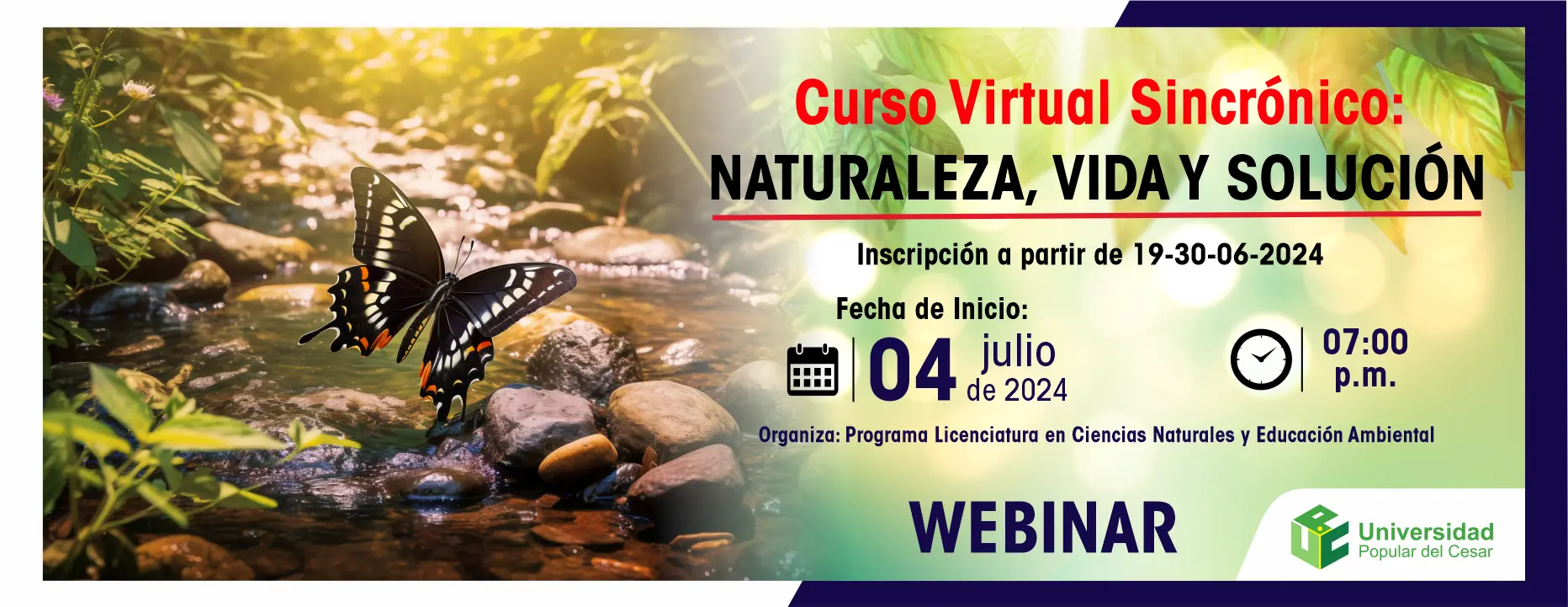 Banner Curso Virtual