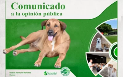 Comunicado a la Opinión Pública