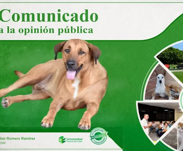 Comunicado a la Opinión Pública