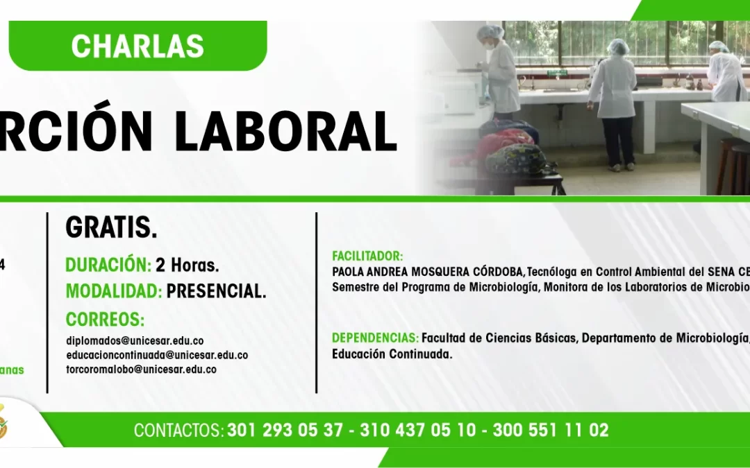 CHARLAS: INSERCIÓN LABORAL