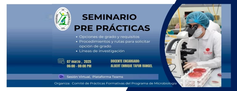 Seminario Pre-Prácticas, Opciones de Grado, Líneas de investigación